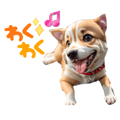 [LINEスタンプ] 沙羅の柴犬かわゆいスタンプの画像（メイン）