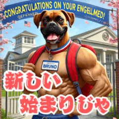 [LINEスタンプ] ボクサー犬）ブルーノの筋肉パワー