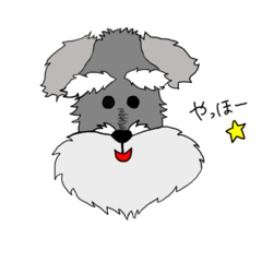 [LINEスタンプ] シュナウザーのそるじゃくん