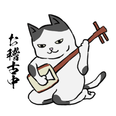 [LINEスタンプ] 名前の無い猫