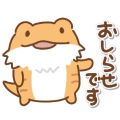 [LINEスタンプ] フトアゴヒゲトカゲの日常色々