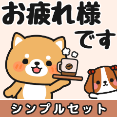 [LINEスタンプ] シンプル♪送信しやすい #柴犬クッキー9