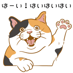 [LINEスタンプ] ねこ界隈の日常（関西弁）