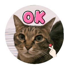 [LINEスタンプ] めいちゃん♀