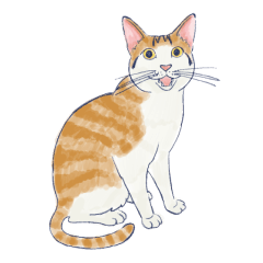 [LINEスタンプ] 私たちの猫 2！