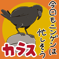 [LINEスタンプ] カラスのまいにち