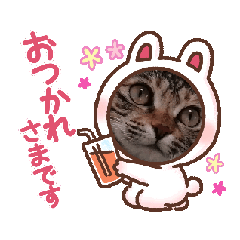 [LINEスタンプ] お任せ♪猫ネコナナスタンプ