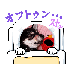 [LINEスタンプ] ワンちゃん好きです