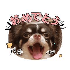 [LINEスタンプ] 動くワンコ！