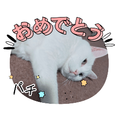 [LINEスタンプ] 猫のヨーミ