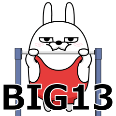 [LINEスタンプ] BIG 擦れうさぎ13