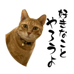 [LINEスタンプ] ちゃーくんからあなたへ15