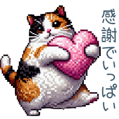 [LINEスタンプ] 気持ちを伝える猫ちゃん【挨拶・かわいい】