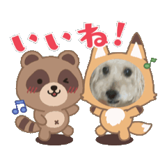 [LINEスタンプ] こじこじとなかま