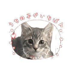 [LINEスタンプ] 動くオレボノ