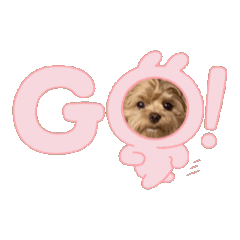 [LINEスタンプ] きむとり