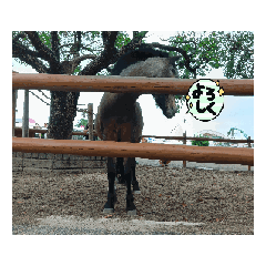 [LINEスタンプ] 動物園と景色