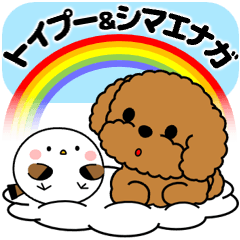 [LINEスタンプ] 飛び出す！トイプー＆ぽっちゃりシマエナガ