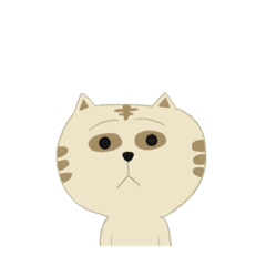 [LINEスタンプ] 虚無ねこ 茶トラver.