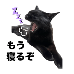 [LINEスタンプ] くろねこレオンのスタンプ