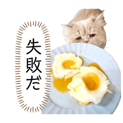 [LINEスタンプ] 老け顔猫のわたげとご飯