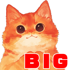 [LINEスタンプ] 【BIG】オレンジ色の猫の定番で年中使える