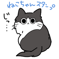 [LINEスタンプ] モフねこちゃんスタンプ