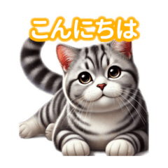 [LINEスタンプ] とにかくかわいい アメリカンショートヘア