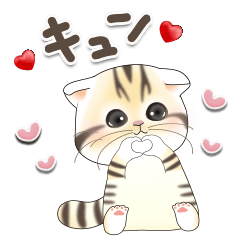 [LINEスタンプ] ねこちぃず♡気持ち伝えるスタンプ