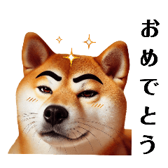 [LINEスタンプ] [アレンジ用]眉毛犬 柴犬