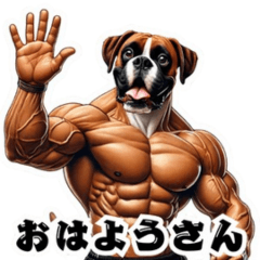 [LINEスタンプ] ボクサー犬のブルーノ（広島弁＆筋肉）