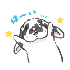 [LINEスタンプ] うさぎのせなちゃんスタンプ