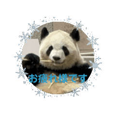 [LINEスタンプ] 推しがいちばん❣️の画像（メイン）