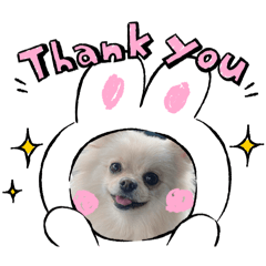 [LINEスタンプ] 普段のあいさつ 【ポメラニアン編】