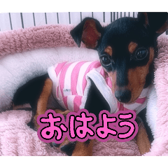 [LINEスタンプ] モエちゃん❤︎すたんぷ！