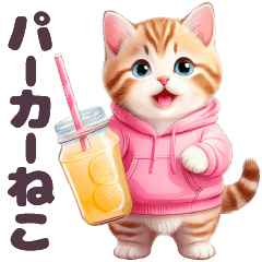 [LINEスタンプ] 1年中毎日使える パーカーねこ