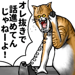 [LINEスタンプ] どうぶつが大好き01ネコ_pro5自意識過剰