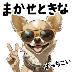 [LINEスタンプ] 上から目線なロックなクリームチワワ