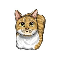 [LINEスタンプ] 猫たちと日常会話！