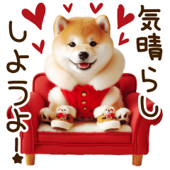 [LINEスタンプ] ずっと使える思いやりの柴犬*❅·̩͙