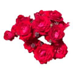 [LINEスタンプ] 薔薇。