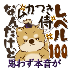 [LINEスタンプ] 柴犬さん『思わず本音がでちゃう』2025