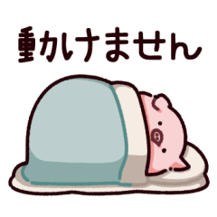 [LINEスタンプ] 体調のぶた