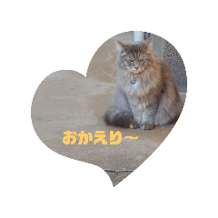 [LINEスタンプ] シーマ1日の画像（メイン）