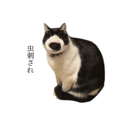 [LINEスタンプ] ヘンガオレオ