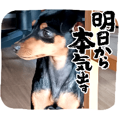 [LINEスタンプ] もえスタンプ！第2弾❤︎