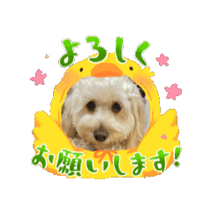 [LINEスタンプ] ぷりん＆しぇり4