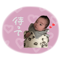 [LINEスタンプ] 可愛いしょうちゃん♡の画像（メイン）