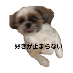 [LINEスタンプ] 名犬ジェラルディンバーンシュタインの日常