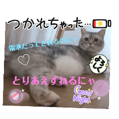 [LINEスタンプ] 猫のチイちゃんのスタンプ4